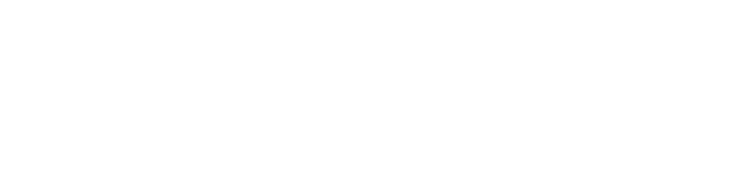 imgi_2_dominonextstep-logo-sm-white.png